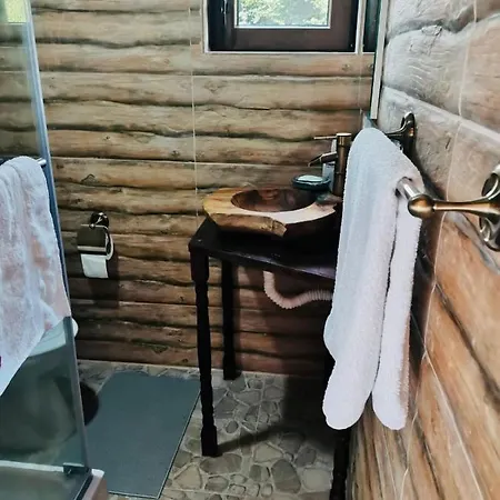 Briana * Valea Drăganului